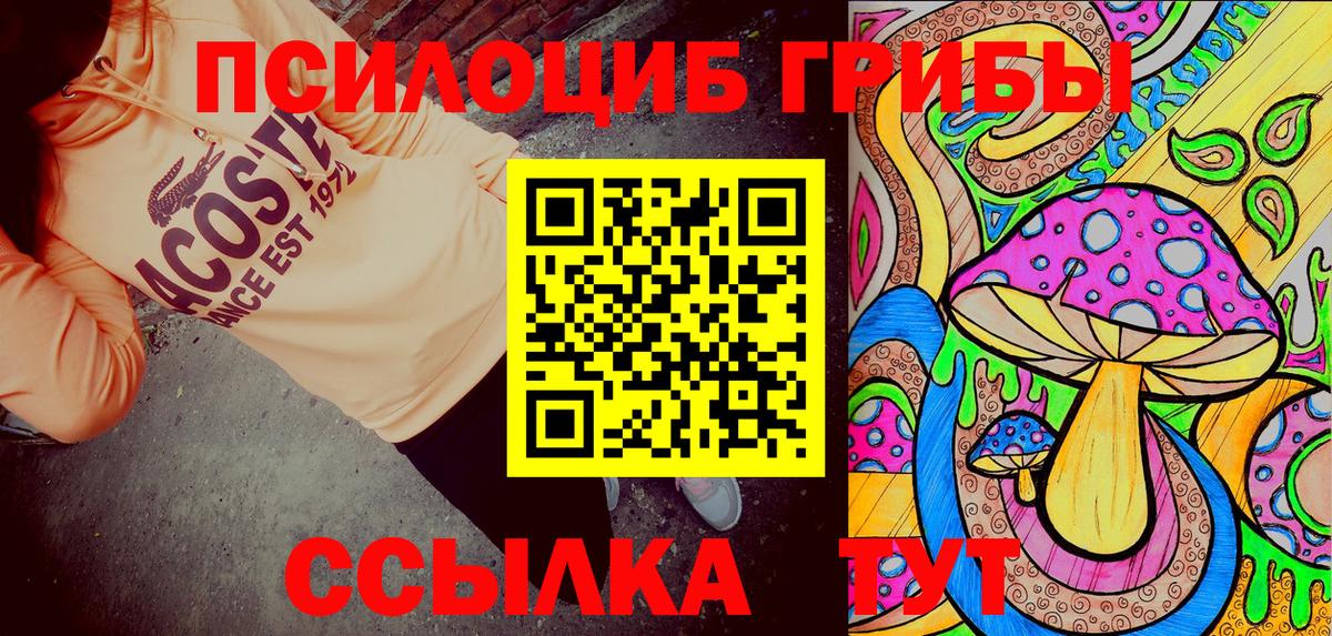 Псилоцибиновые грибы Psilocybe Омск
